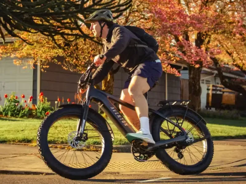 Fat Tire e-bike