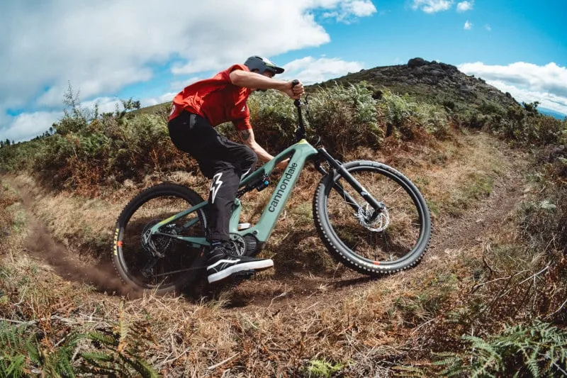 Mountain / Trail e-bike