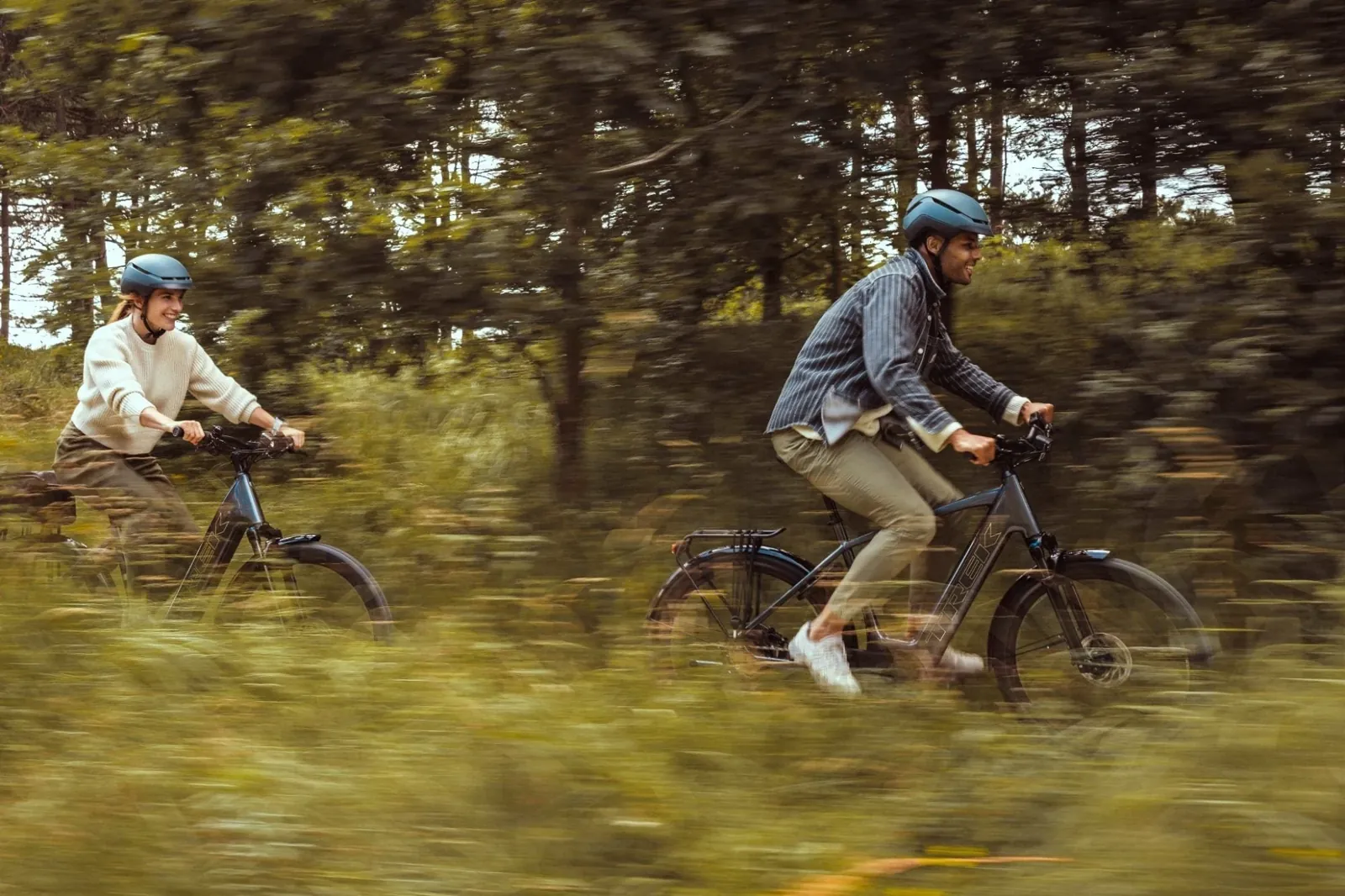 Cruiser / Commuter e-bike