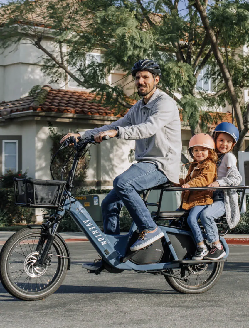 Cargo e-bike